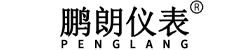 河北鹏朗仪表有限公司
